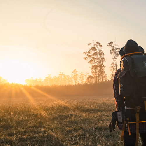 La Réalité Écologique en France : Pourquoi Il Est Temps de Repenser Notre Consommation