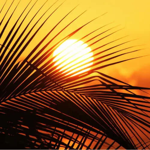 The Power of Sun and Water: A Journey Through Time and Technology - ChargeMax Energy